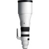 Sigma 300-600mm f/4 DG OS Sports Lens for Sony E-mount