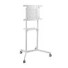 Rotating TV Floor Stand for 37-70'' TVS /Interactive Displays/Samsung Flip/Surface Hub 2S
