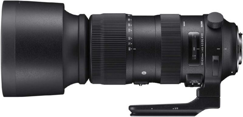 Sigma 60-600mm f/4.5-6.3 DG OS HSM Sports Lens for Nikon - Image 4