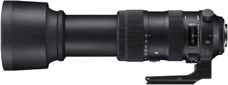Sigma 60-600mm f/4.5-6.3 DG OS HSM Sports Lens for Nikon