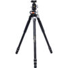 VEO 3+ 263AP Professional Aluminum Tripod with Panhead