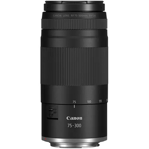 Canon RF 75-300mm f/4-5.6 Lens - Image 4