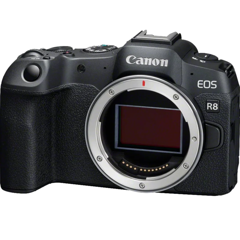 Canon EOS R8 Mirrorless Camera + RF 24-105mm F4-7.1 IS STM Lens - Image 2
