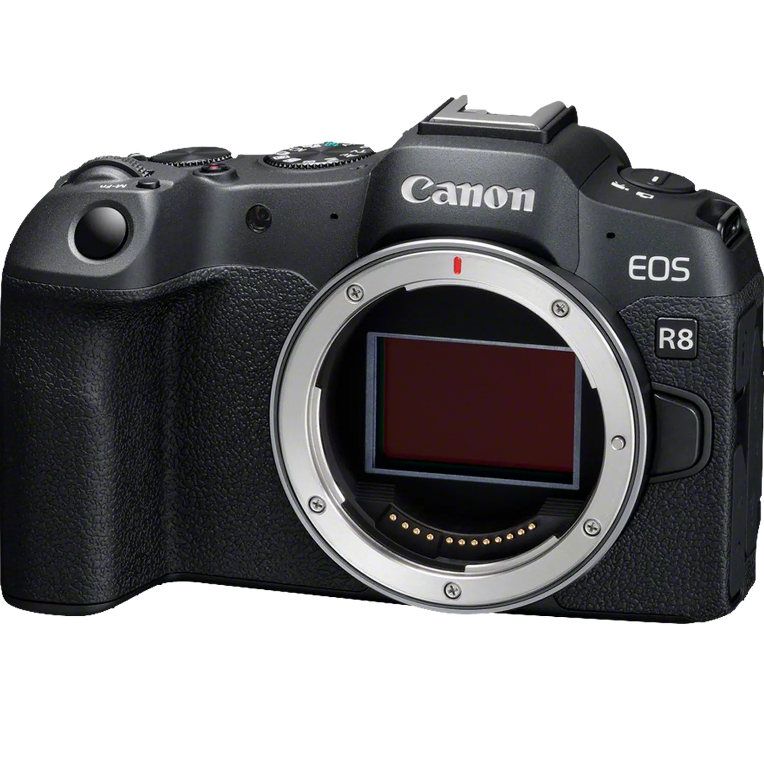 Canon EOS R8 Mirrorless Camera + RF 24-105mm F4-7.1 IS STM Lens - Image 2