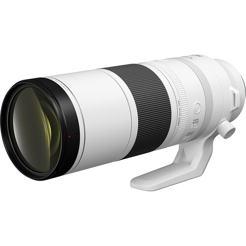 Canon RF 200-800mm f/6.3-9 IS USM Lens - Image 4