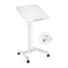 FWS07-1 Height Adjustable Mobile Workstation
