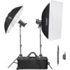 Godox SK300III-V Studio Flash Monolight (2-Light Kit)